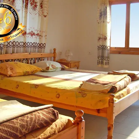 дичев Обзор